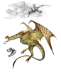Glorantha Bestiary: Dragons, Cory Trego-Erdner : In 2016 and 2017, I had the honor of illustrating over 50 monsters for the Runequest-Glorantha Bestiary. It was a huge, fun, and very rewarding project. Copyright Chaosium Inc.