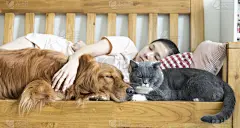 狗,女孩,野生猫科动物,女人,水平画幅,人,金毛寻回犬,家具,沙发,宠物