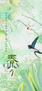 春分节气海报