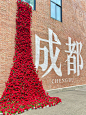 打卡成都—玫瑰花瀑—东郊记忆