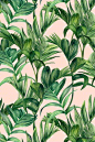 植物纹理。艺术家：Shelley Steer