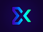 Experum商业标记图标字母现代会标x徽标