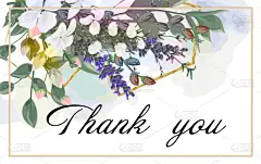 叶子,白色,背景,自然美,分离着色,水彩画,结婚请柬,玫瑰,卷着的,贺卡