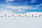 Viewers' Choice for People: Expedition Amundsen - A race that follows in the path of the famous explorer Roald Amundsen brings the contestants to the Hardangervidda Mountainplateu, Norway. 100km across the plateau, the exact same route Amundsen used to pr