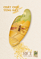 Advertising  brand identity Food  ILLUSTRATION  marketing   poster Rice traditional vietnam vietnamese