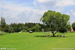 zhuxiaomei0709采集到草地