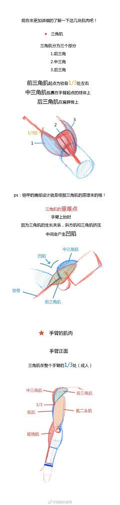 七夕的雨采集到肌肉