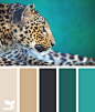 love these colors!: 