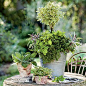 Grow big flavor in small spaces by planting your favorite herbs in a topiary container garden.