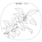 植物线稿 (535)