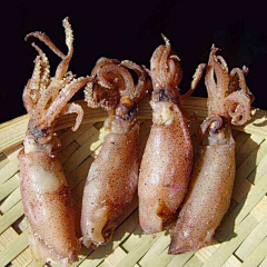 胡子（MoDTP)采集到海鮮