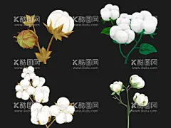 棉花  - 源文件下载【酷图网】棉花,手绘棉花,棉花插画,棉花树,手绘棉花树,棉花素材,棉花元素,