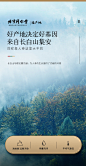 【青源堂人参100克礼盒装】北京同仁堂健康 青源堂 人参100克精选吉林长白山人参7支生晒参煲汤滋补品西洋参红参泡酒材料年货礼盒【行情 报价 价格 评测】-京东