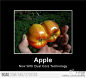 李开复：“双核” 的苹果。 （来自Facebook）
