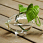 ZAKKA日式杂货 橄榄形玻璃小花瓶/水培小花器