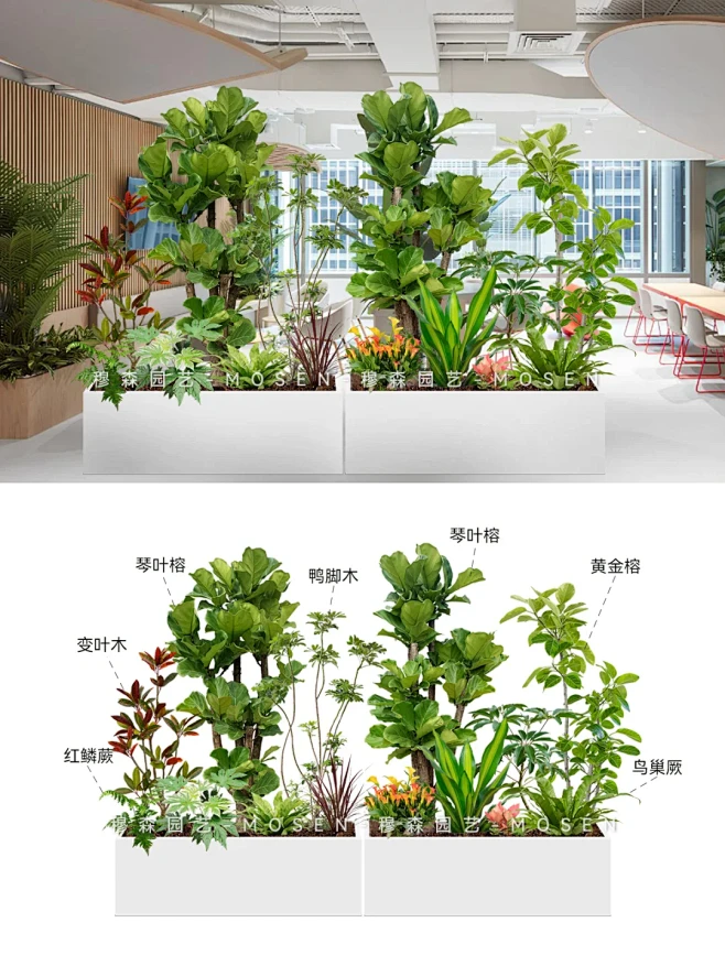 办公室新宠企业室内花箱绿植隔断组合 - 小红书-花瓣网