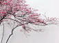 踏雪寻梅，寻找国画意境