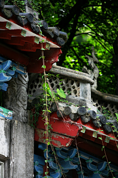 小蕾静安采集到梦想家园