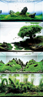 Takashi Amano is a well-known aquarium artist who is able to make otherworldly scenes underwater. With even more precision and care than the most obsessive landscape artist, Takashi sculpts his aquariums into living pieces of art that look like microcosms