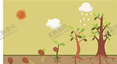 种子发芽参天大树树木生长 【酷图网】种子发芽,参天大树,树木生长,幼苗生长过程,植物生长,植物生长过程,植物发芽,树木发芽