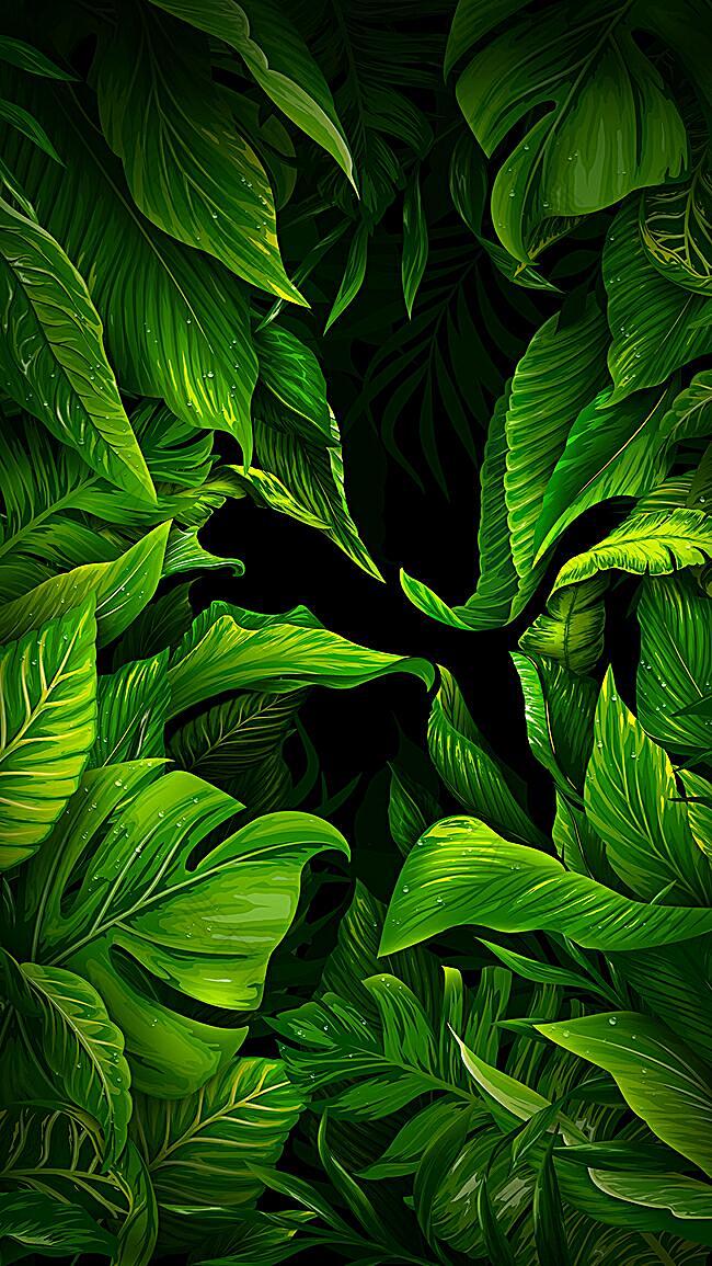 绿色植物H5背景-护肤品,化妆品,风景,...