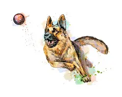 德国牧羊犬德牧黑贝插画矢量图设计素材