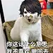 李泽言他老婆