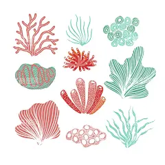 珊瑚  - 源文件下载【酷图网】珊瑚,五彩缤纷,海底生物,卡通,插图