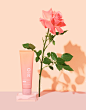 Start Fresh | Full Spectrum CBD Face Cleanser 25mg : This Full Spectrum CBD face cleanser is dermatologist tested, vegan and cruelty-free. Maintain your skin's balance with this plant-powered gel cleanser.
