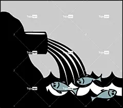 死的 生态 流出的 鱼 湖 自然 海洋 管道 污染 河 海