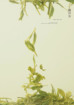 东东-花样年华采集到爱玛