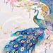 230711|国风蓝孔雀