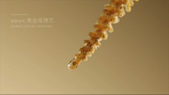 羊秃了呀采集到护肤/科技/GIF