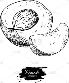 分离着色,动物手,桃,素食,菜单,清新,食品,维生素,绘制,复古