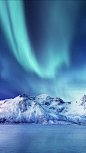 46cfd44fa4915f198ae062cf4a0f989a.png (1242×2208)