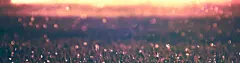 虚化浪漫摄影banner壁纸高清素材 唯美 壁纸 朦胧 素材 色彩 风景 背景 设计图片 免费下载