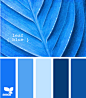 leaf blue
