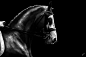 The Horse : Some of my best work from 2010-2014Website:<a class="text-meta meta-link" rel="nofollow" href="<a class="text-meta meta-link" rel="nofollow" href="http://tpphotography.dkTumblr:http://tof