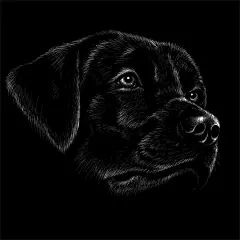 手绘粉笔风格的狗插图矢量图设计素材