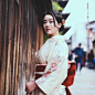 京都樱花和服店的微博_微博