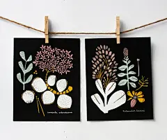 【花卉插画系列图集下载】创意叶子草本花卉绘画/抽象植物绘画临摹作品/水彩iPad手绘作品