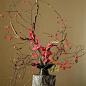 Photo shared by AIKU FLORAL on October 19, 2021 tagging @noe_kuremoto_ceramics.