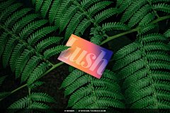 31款户外自然植物服装名片纸杯产品包装单页海报VI应用ps样机素材