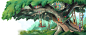 children book CHILDREN STORY fairy tale forest greenery literature Picture book Reading Tree 