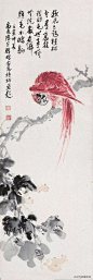笔墨相融，这写意花鸟画太美啦