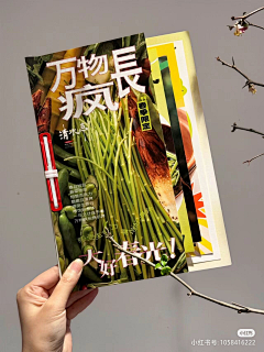 Tom猫丶采集到菜单