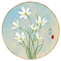 葱莲