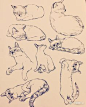 【#绘画参考# 】没有猫猫的小画家，就来一份可爱猫猫素材吧 ​​​​