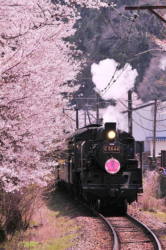 Train Japan