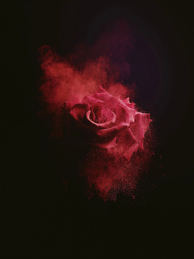 Lancome